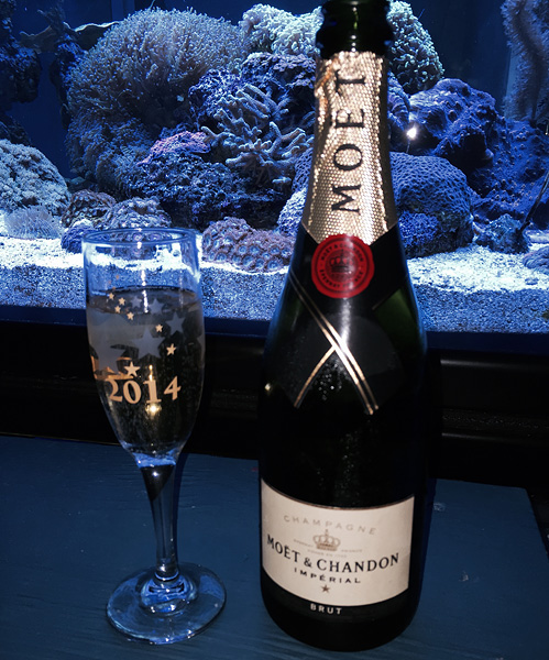 Name:  champagne.jpg
Views: 605
Size:  163.0 KB