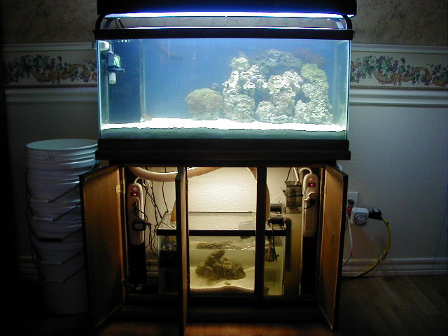 Name:  58 Gallon reef ready.jpg
Views: 1070
Size:  57.2 KB