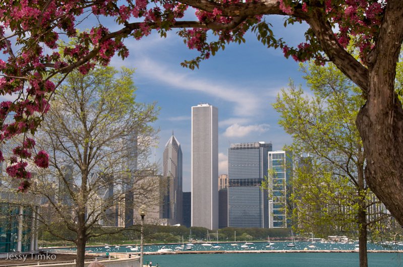 Chicago Skyline