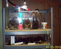Click image for larger version

Name:	old sump.jpg
Views:	340
Size:	177.0 KB
ID:	5732