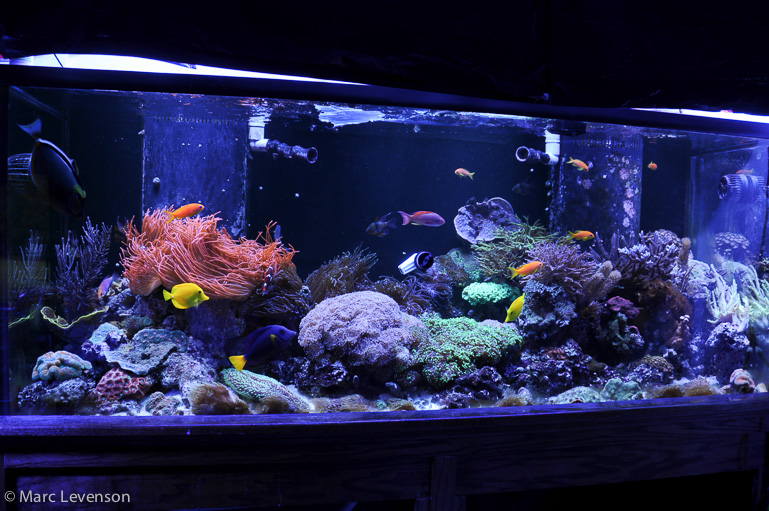 Name:  fts-20k-twinarc.jpg
Views: 2693
Size:  248.9 KB