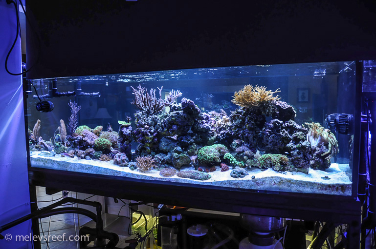 Name:  fts-from-backside.jpg
Views: 429
Size:  175.7 KB