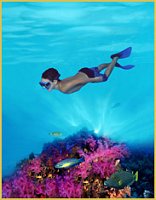Click image for larger version

Name:	underwater-boy-.jpg
Views:	407
Size:	17.3 KB
ID:	936