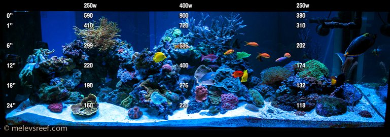 Name:  FTS-20K-PAR-ra.jpg
Views: 3202
Size:  68.9 KB