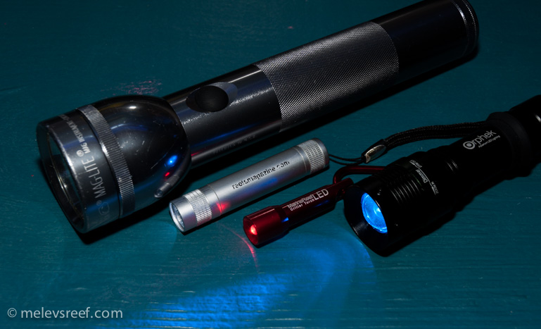 Name:  flashlights.jpg
Views: 909
Size:  133.1 KB